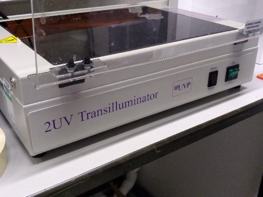 UV Transilluminator